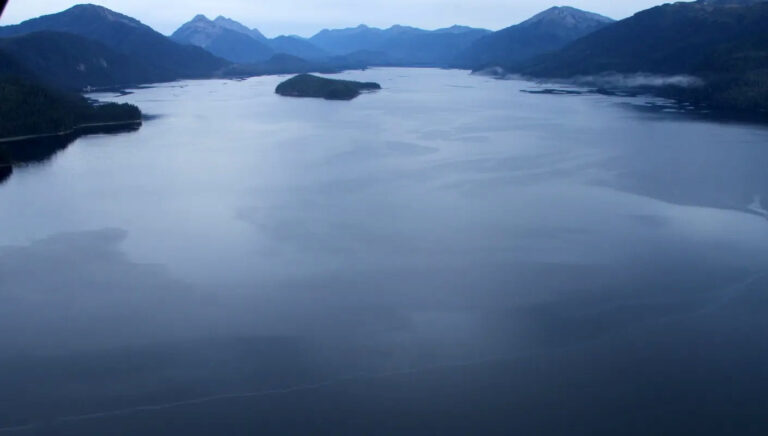 bingo plus voucher code 2024